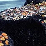 Octobre  Le Léguer  Tonquédec 22